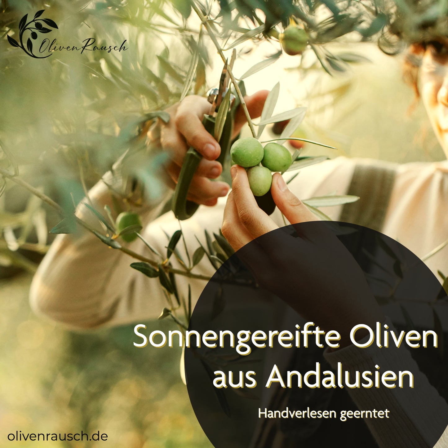 OlivenRausch • Oliven